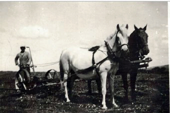 herman hoester