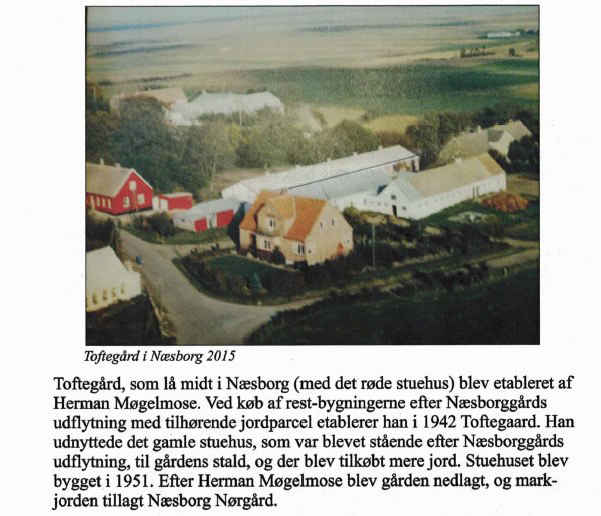 herman toftegaard